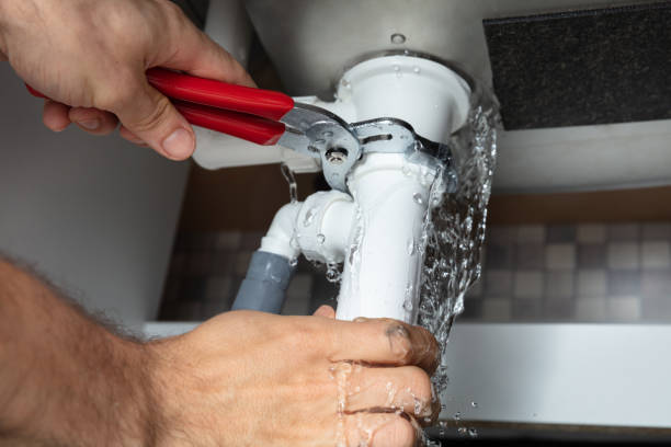 Best Carpet water damage restoration  in Luxemburg, WI