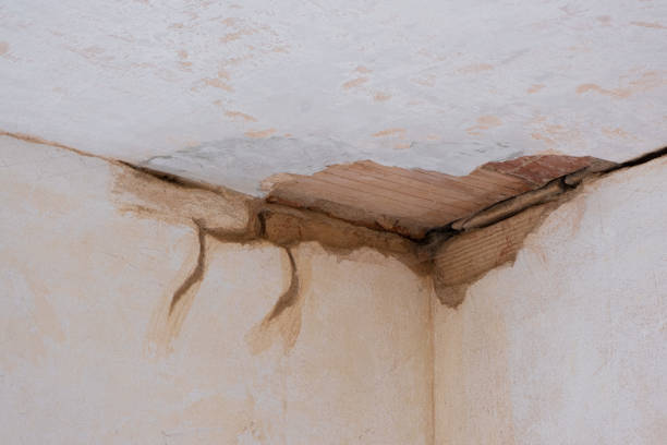 Best Residential water damage restoration  in Luxemburg, WI