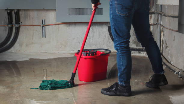  Luxemburg, WI Water damage restoration Pros
