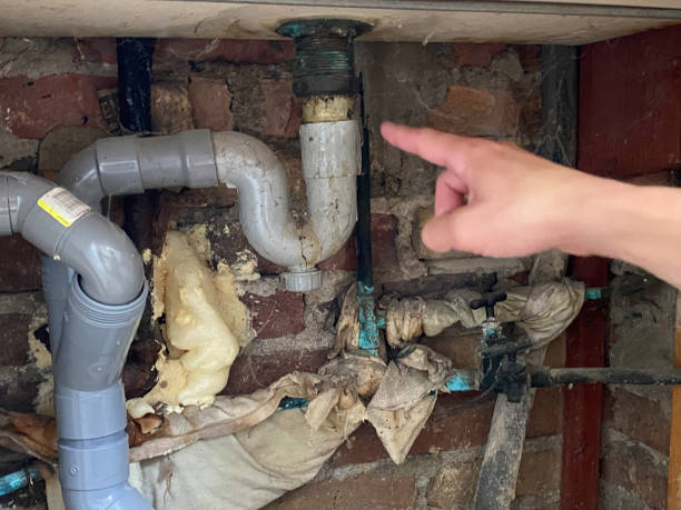 Best Water damage restoration insurance claims  in Luxemburg, WI